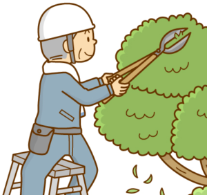 伸びすぎた庭木、どうする？剪定110番プロが解決！どんな木も一本からスッキリ剪定