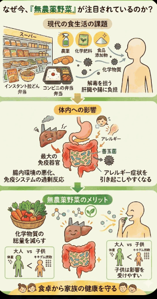 現代の食生活に潜む化学物質の課題と、腸内環境や免疫へアプローチする無農薬野菜のメリットを図解