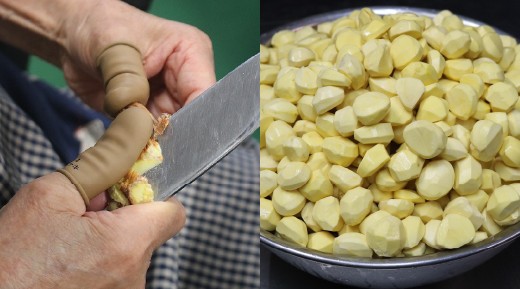 料金プランのインフォグラフィック