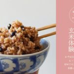 ズボラでもOK！結わえる　寝かせ玄米とは　楽々ヘルシー生活