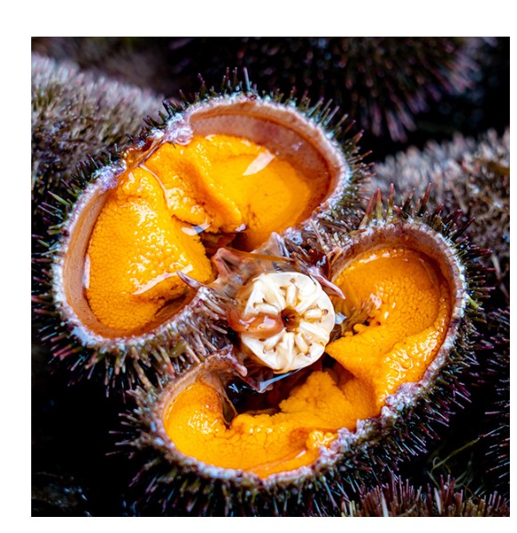 夫婦の週末の晩酌