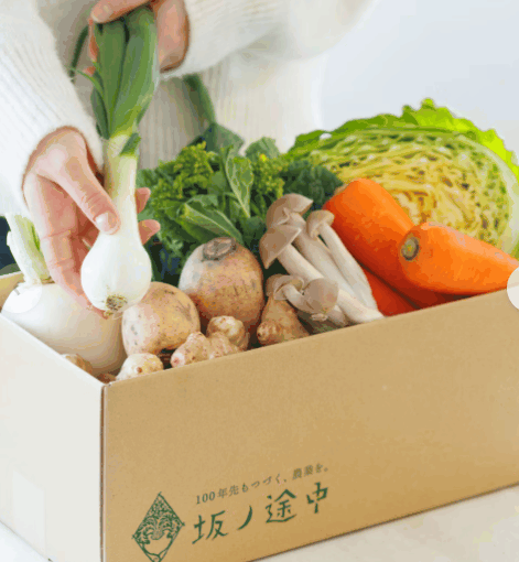 坂ノ途中の口コミ評判！一人暮らしや虫の不安を実食レビュー