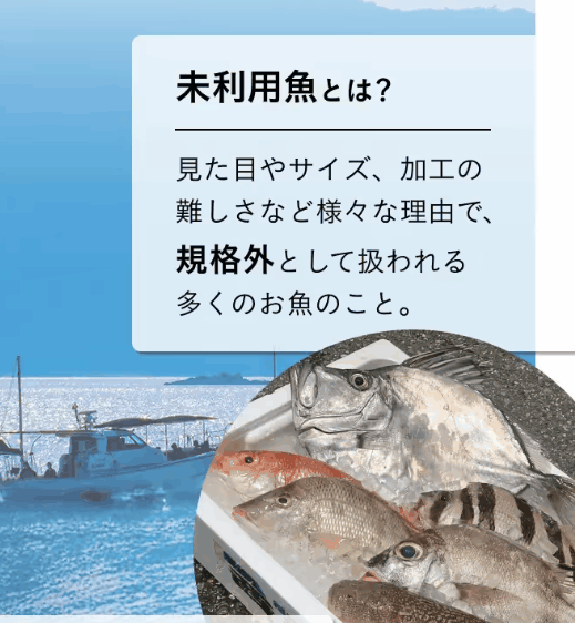 味には問題がないのに市場に出回らない新鮮で美味しい未利用魚