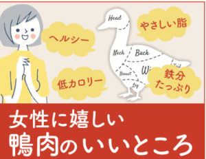 絶品お取り寄せ!カナールの鴨鍋実食レビューとおうち料亭体験